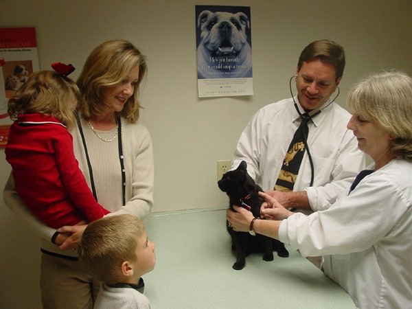 Lake Lansing Road Animal Clinic - Veterinarian in Lansing, MI US :: About Us